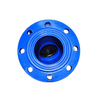 Ductile Iron Swing Check Valve