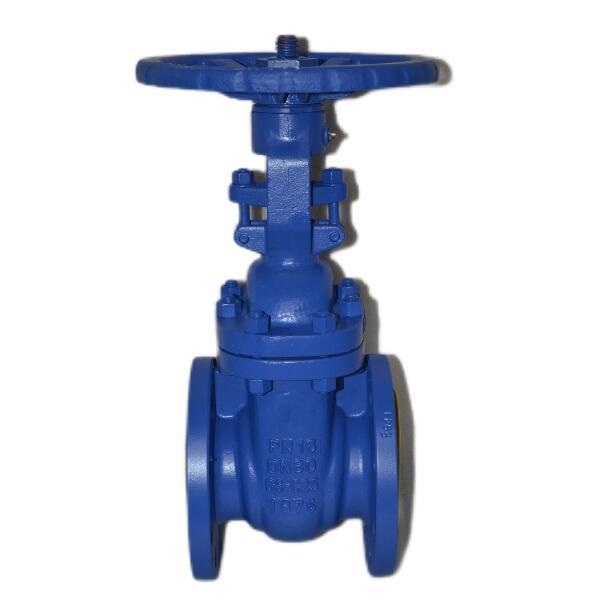 Pindee Valve manufacture Gate Valve Rising Stem DN80 PN16 GS C25