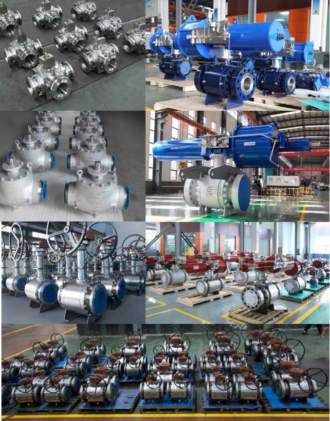 Top Entry Trunnion Mounted Ball Valve2