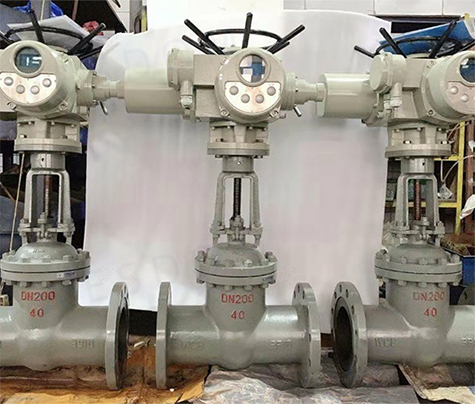 Silent Check Valve4