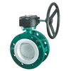 Double Flange Fluorine Lined Butterfly Valve