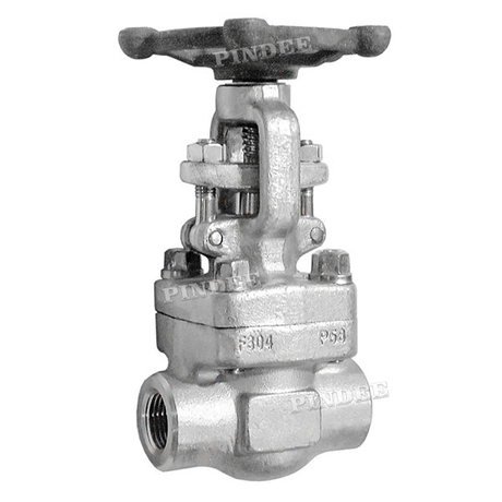 Forged Steel SS304 Gate Valve NPT Class 300