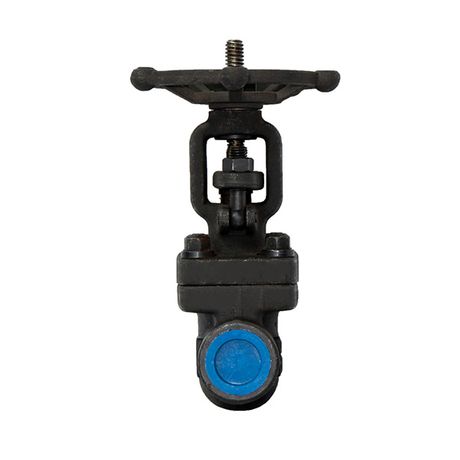 Rising Stem Forged Steel Gate Valve