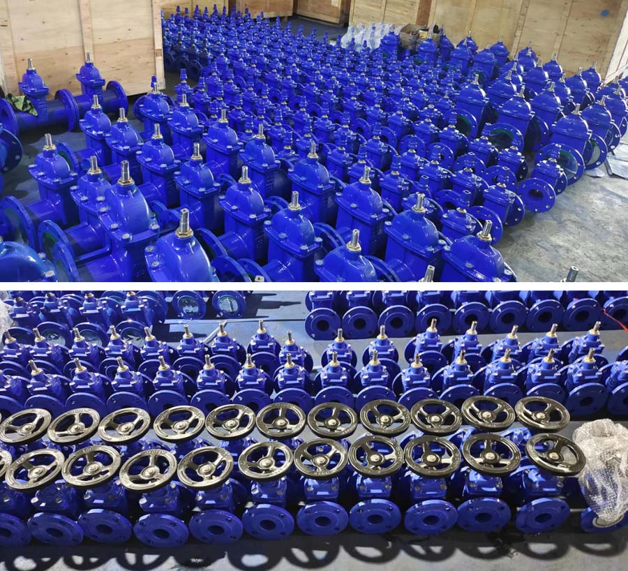 DI Hard Seal Gate Valve8