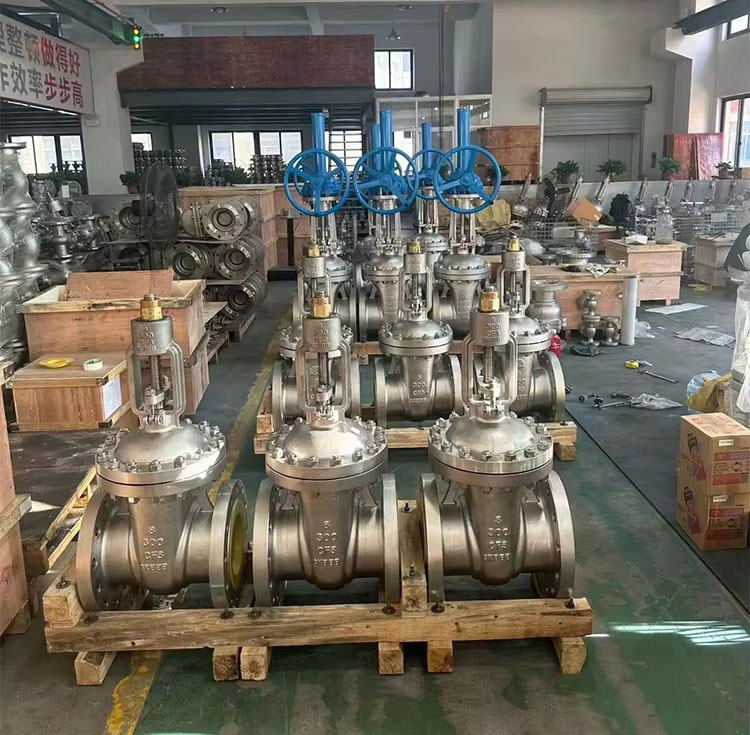 Stainless Steel Rising Stem Gate Valve Display2
