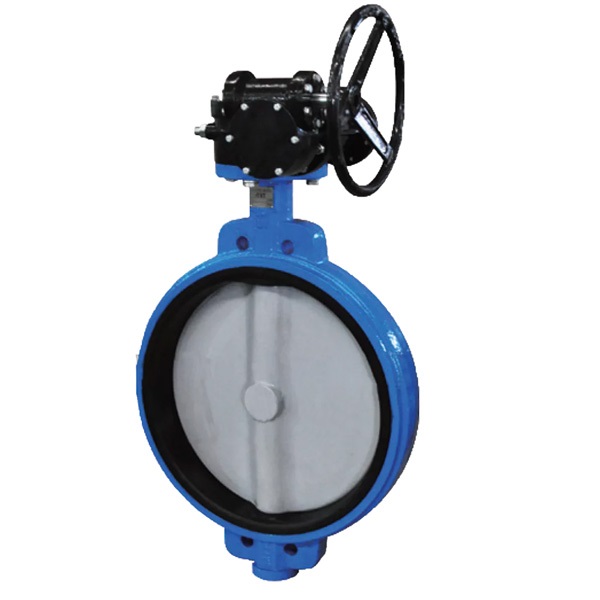Ducitle Iron Wafer Butterfly Valve with Worm Gear Manufacture by Pindee Valve