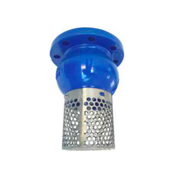 Foot Check Valve