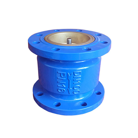 Silent Check Valve