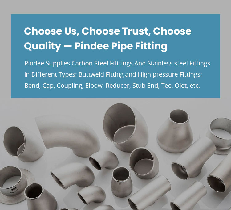 Pindee Stainless Steel Fittings Supplier from China