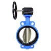 Worm Gear Operated Wafer Butterfly Valve
