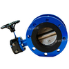 Flange Butterfly Valve