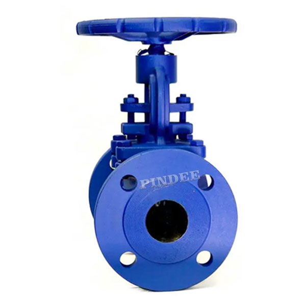 Bellows Globe Valve
