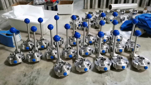 pindee-sanitary-Clamp-valves-manufacture.jpg