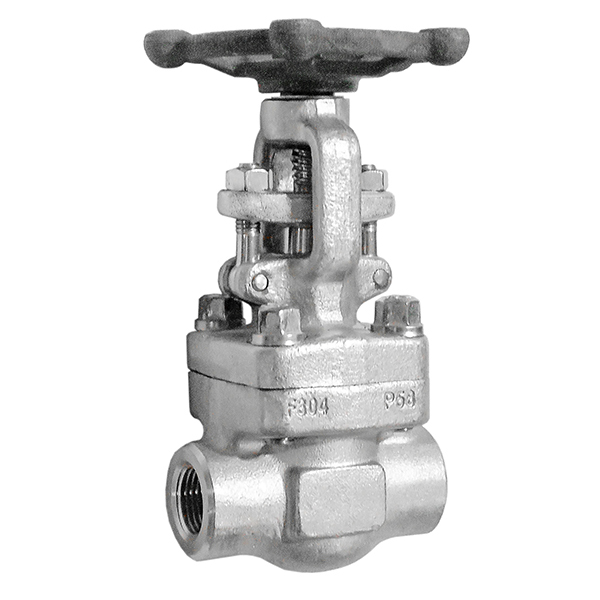 Forged Steel SS304 Gate Valve NPT Class 300