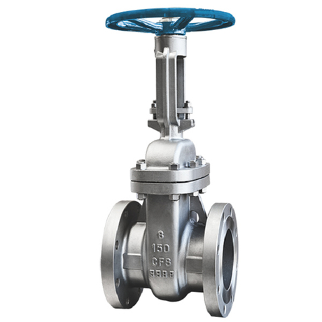 SS Flanged Gate Valve