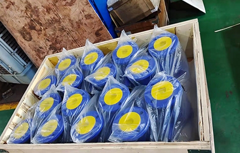 Bellows-Globe-Valve5
