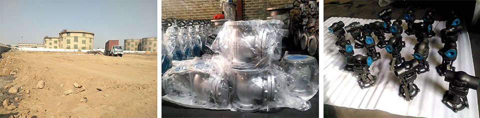 API-Swing-Check-Valve-pindee