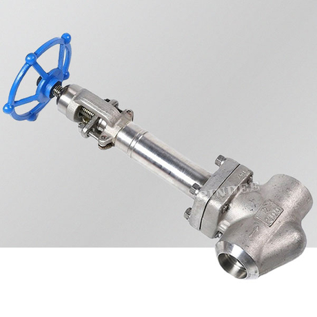 Cryogenic Globe Valve