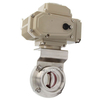 Sanitary Butterfly Valve with Electric Acutator