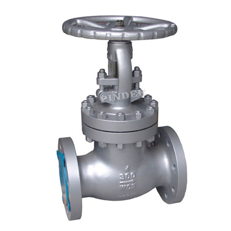 Cast Steel Globe Valve