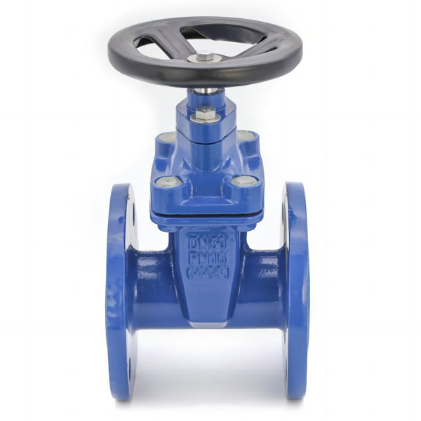 DIN3352 F4 Resilient Seat Flanged Gate Valve