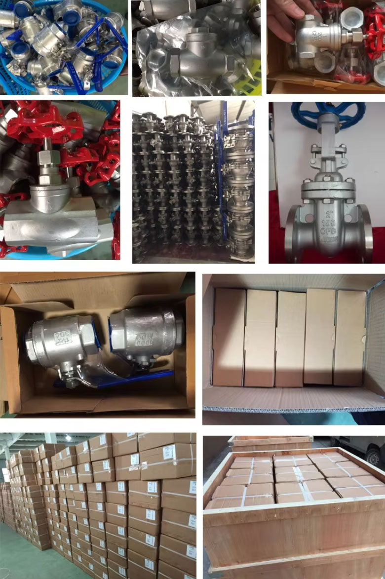 Forged Steel SS304 Gate Valve NPT Class 300-4