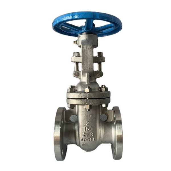 SS Flanged Gate Valve