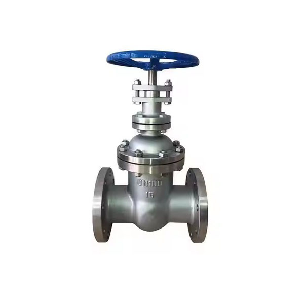 ANSI Cast Steel Gate Valve