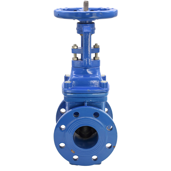 Resilient Seat Seal Rising Stem Gate Valve