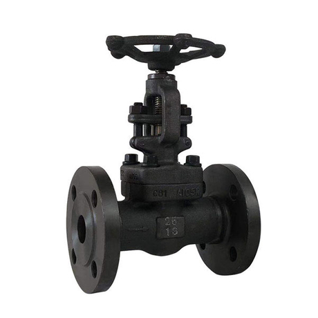 ANSI-150 Forge Steel Gate Valve Flanged End3