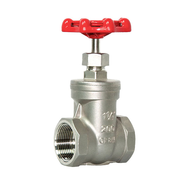 SS Threaded Gate Valve2