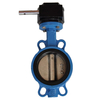 Ducitle Iron Wafer Butterfly Valve with Worm Gear Manufacture by Pindee Valve