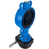 EPDM Coated Wafer Butterfly Valve Manufacture by Pindee Valve