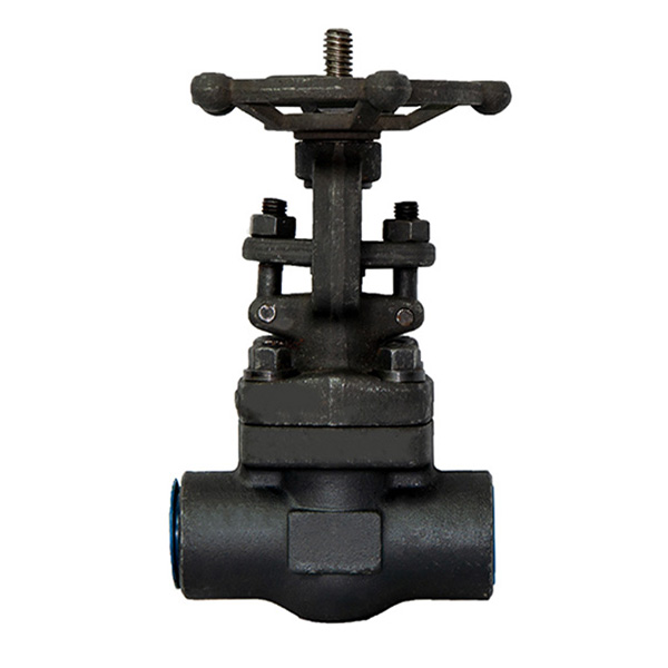 Pindee Valve manufacture Forged steel gate valve