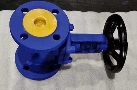 Bellows-Globe-Valve6