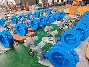 Eccentric-Soft-Sealing-Flange-Butterfly-Valve60