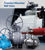 Top Entry Trunnion Mounted Ball Valve