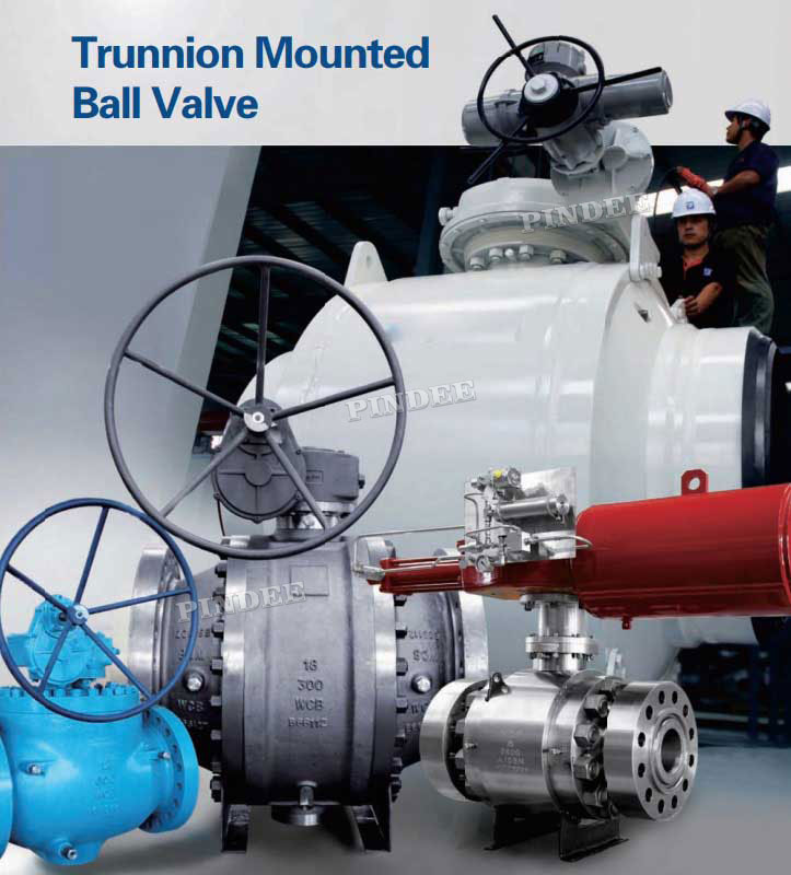 Top Entry Trunnion Mounted Ball Valve