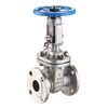 SS Flanged Gate Valve