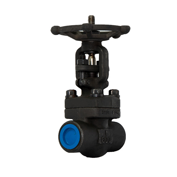 Rising Stem Forged Steel Gate Valve
