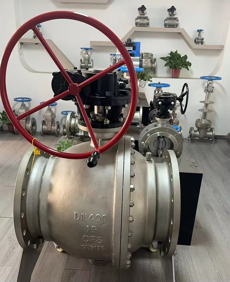 Stainless Steel Rising Stem Gate Valve Display1