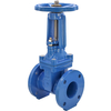 BS5163 Resilient Seat Seal Rising Stem Gate Valve