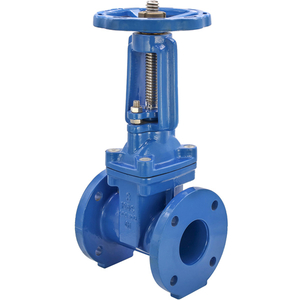 BS5163 Resilient Seat Seal Rising Stem Gate Valve