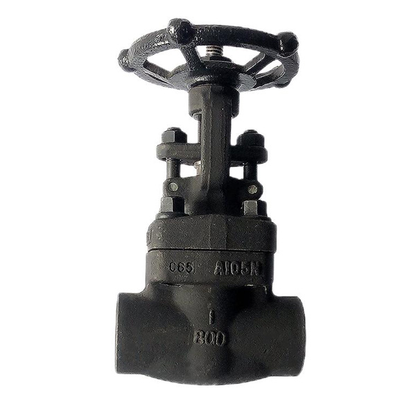 API 602 Forged Steel Gate Valve