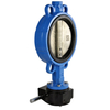 Ducitle Iron Wafer Butterfly Valve with Worm Gear Manufacture by Pindee Valve