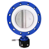 CF8M Disc PTFE Seat Flanged Butterfly Valve Manufacture by Pindee Valve