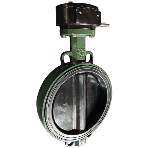Soft Seal EPDM Covered Disc Wafer Butterfly Valve Manufacture by Pindee Valve