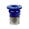 Foot Check Valve