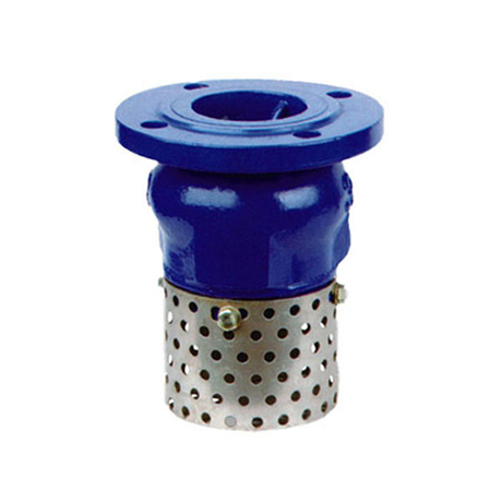 Foot Check Valve