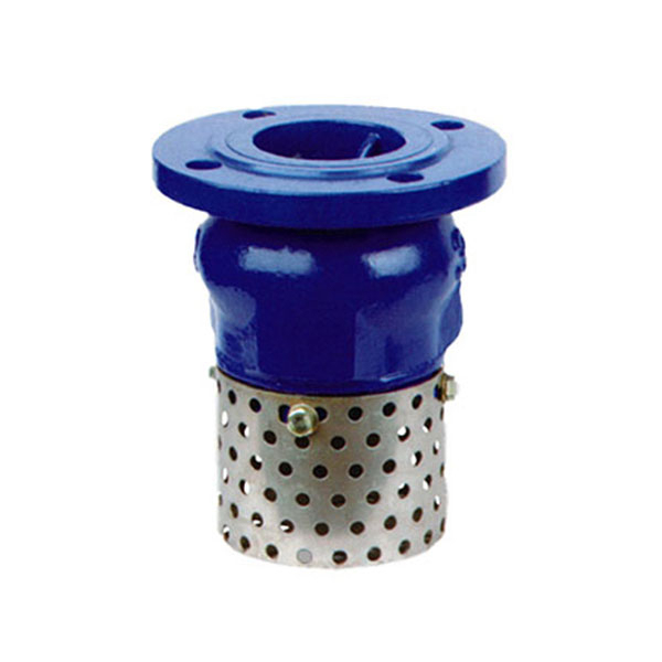 Foot Check Valve
